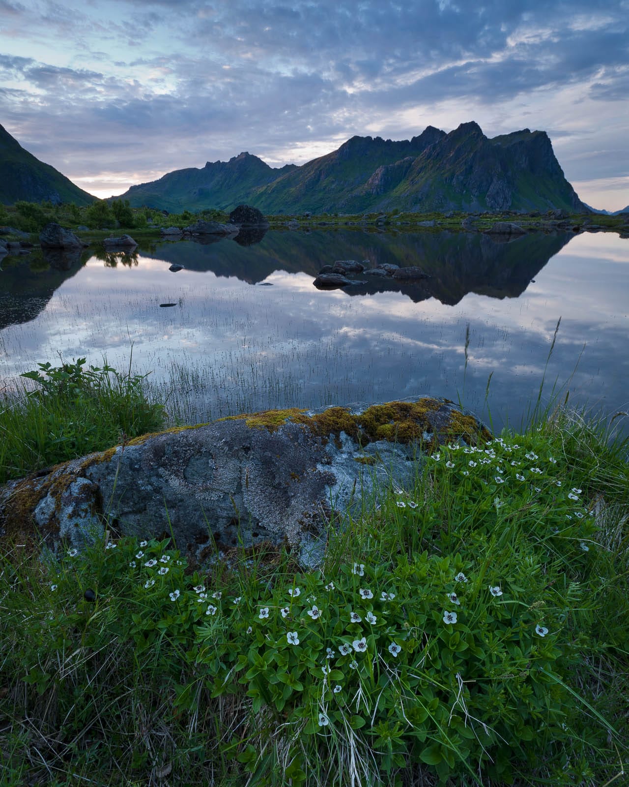Lofoten Nights