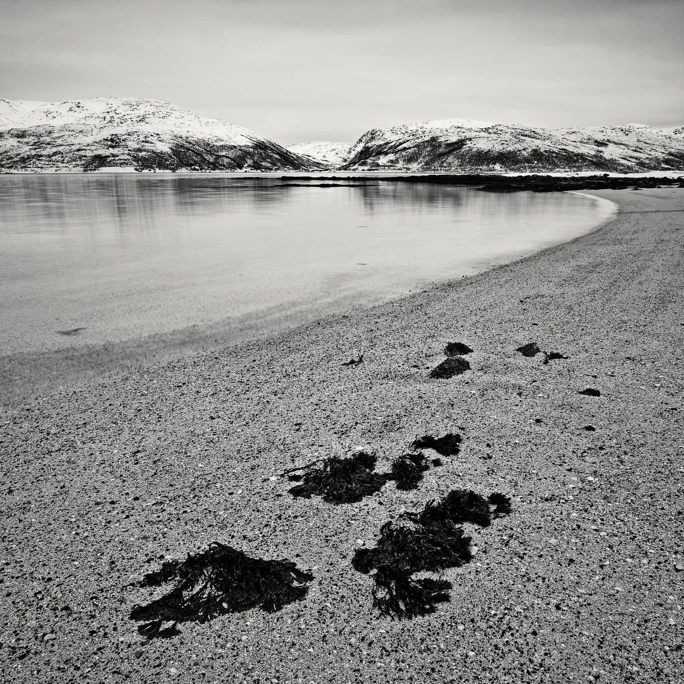 A sepia toned image of a beach, covered with shells with reflections snow covered mountains in the water